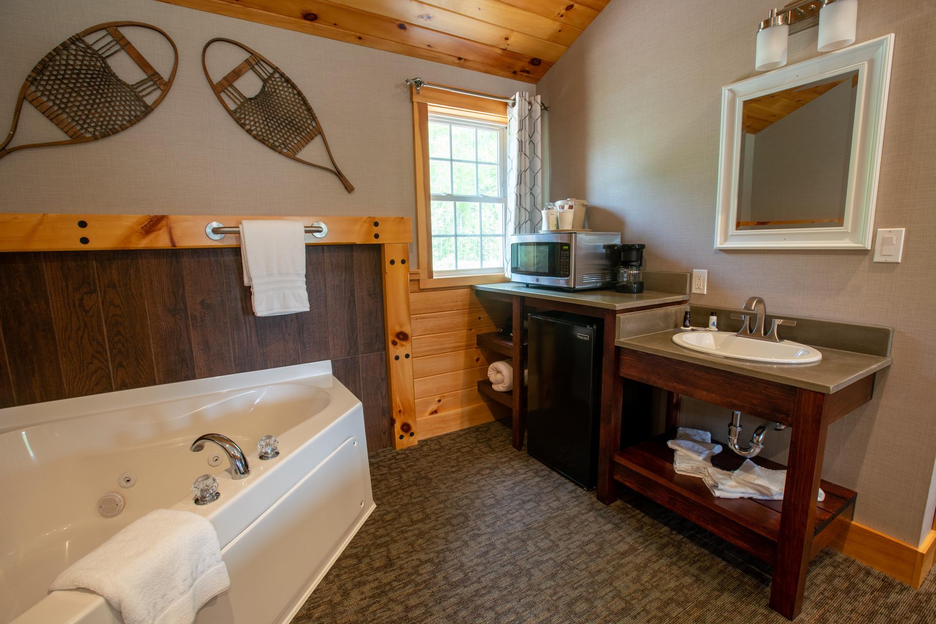 Modern Cabin Contemporary 6