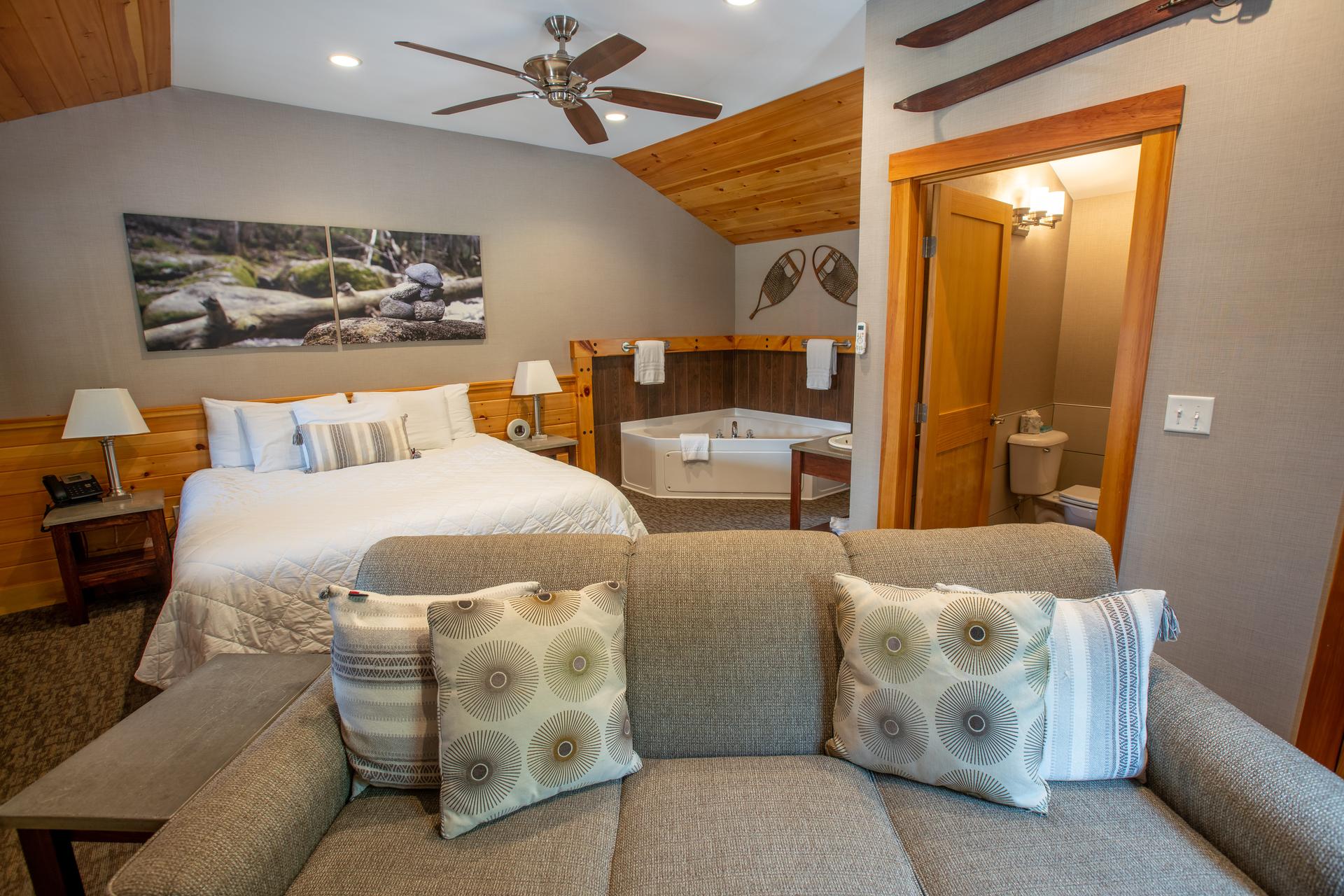 Modern Cabin Contemporary 7