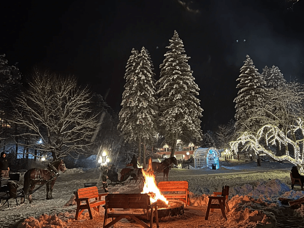 Nestlenook sleighrides 1024x768