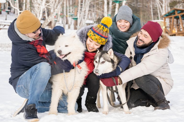 Full length portrait of two couples playing with two beautiful dogs outdoors in winter resort, copy space